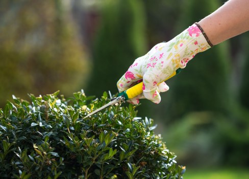 Tree surgeon pricing for a Stockwell garden tree inspection