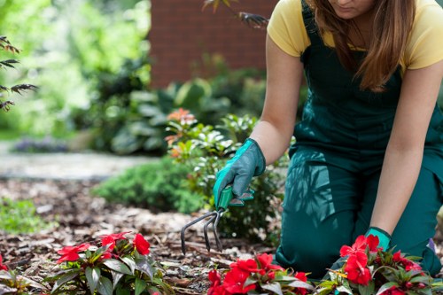 Marketing cookies and user preferences for Tree Surgeons Stockwell