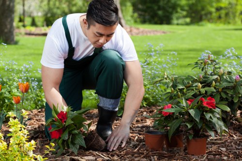 Accepted secure payment methods for tree surgery