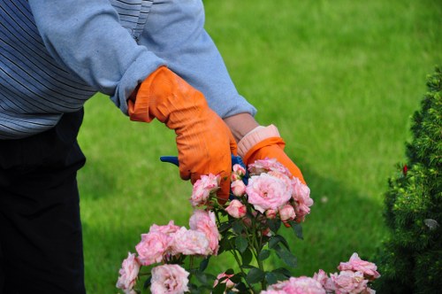 Legal terms and governing law for tree surgeons